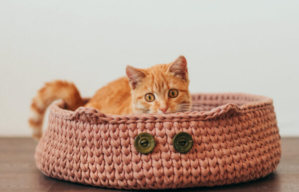 Kitty Haven Coral Cozy Basket