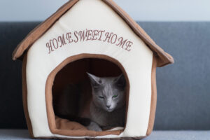 Purrfect Plush Cat Cottage