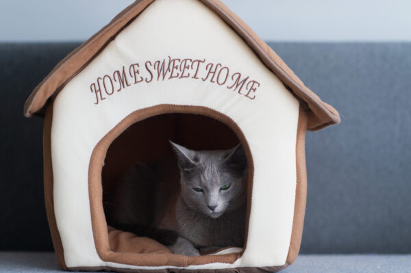 Purrfect Plush Cat Cottage