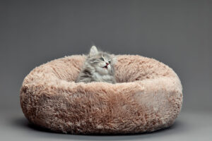 Fluffy Bliss Pastel Fur Cat Bed
